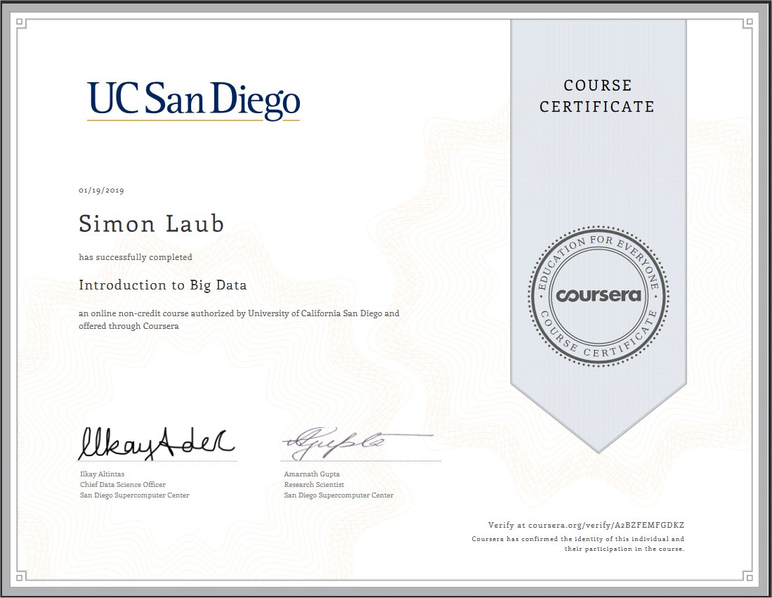 Simon Laub, Big Data Online Certificate