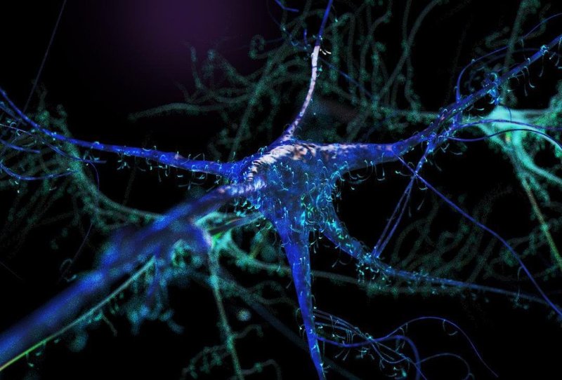Neurons, artistic impression