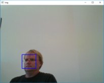 Face Detection