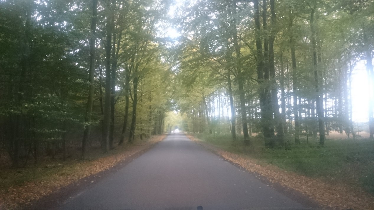 Fyn. Autumn, October 2020.