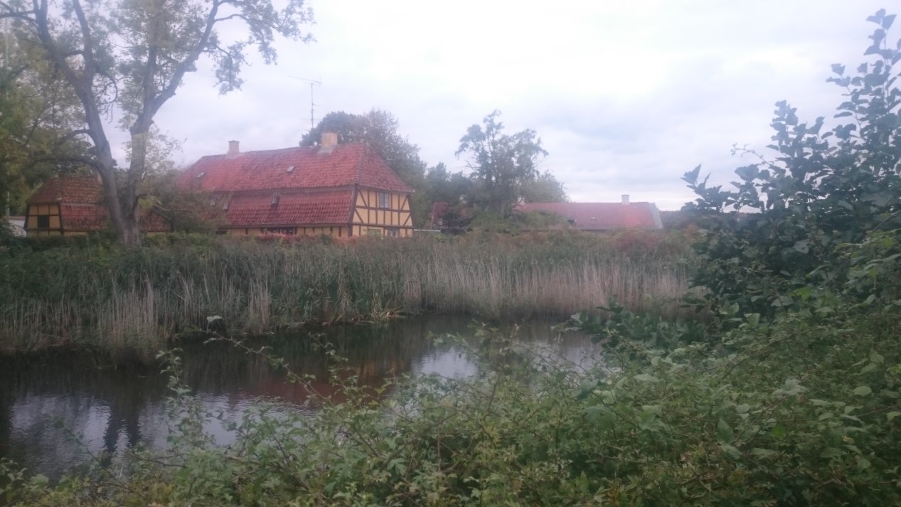Fyn. Autumn, October 2020.