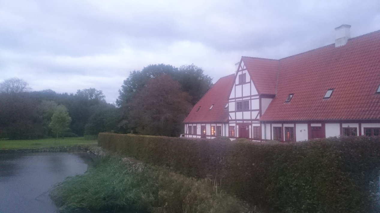 Fyn. Autumn, October 2020.