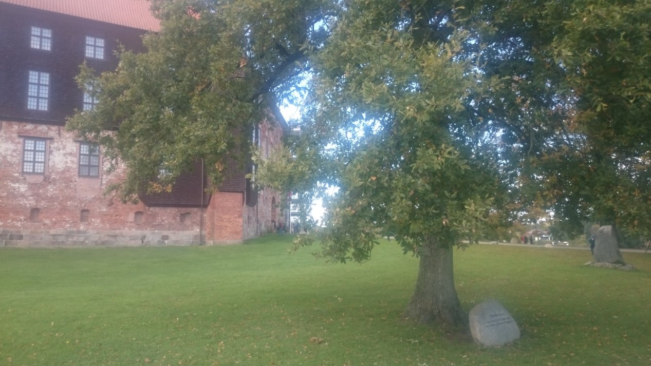 Koldinghus. Jylland. Autumn, October 2020.