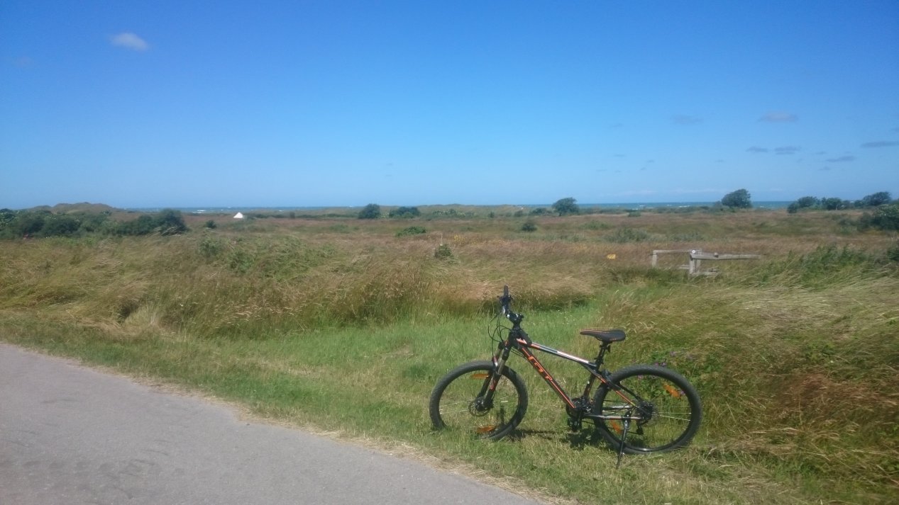 NordJylland, July 2020.