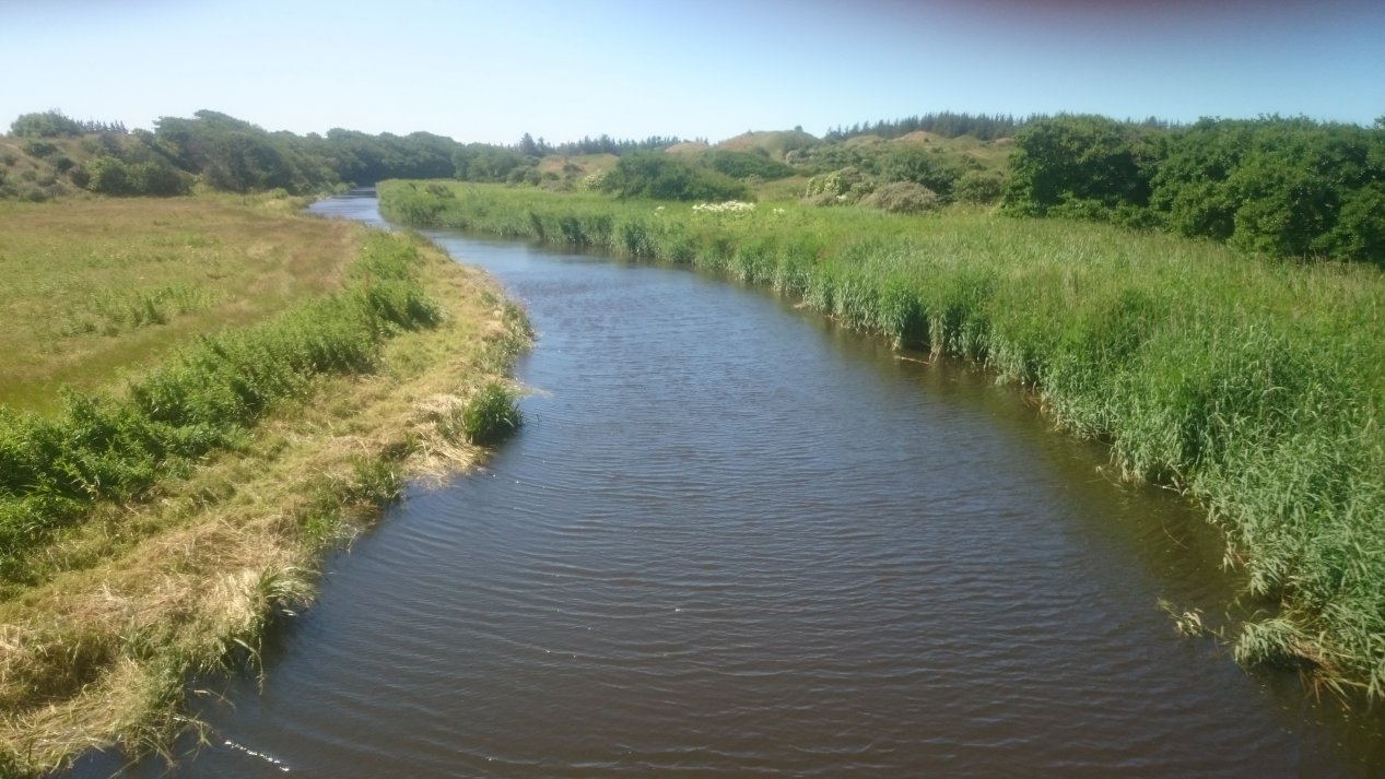 NordJylland, July 2020.