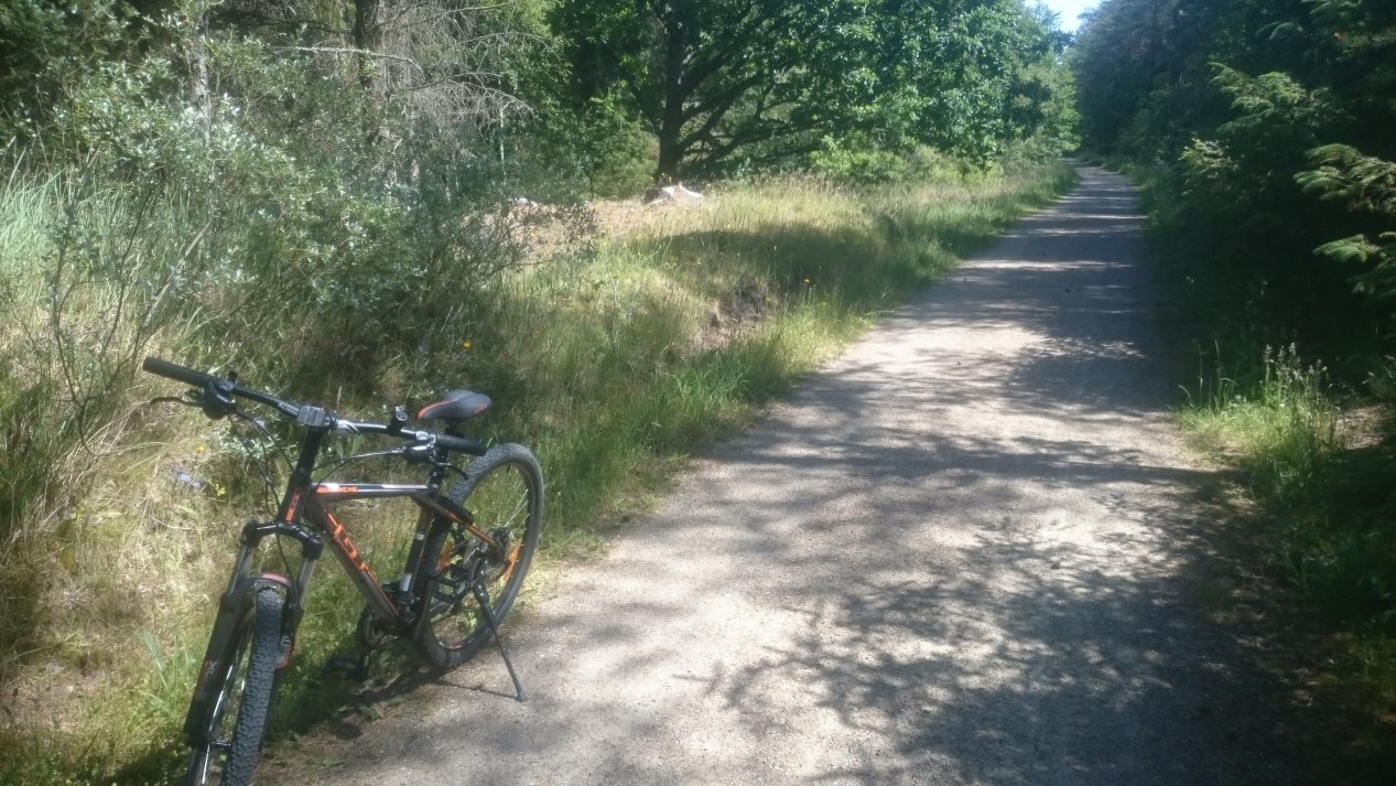 NordJylland, July 2020.