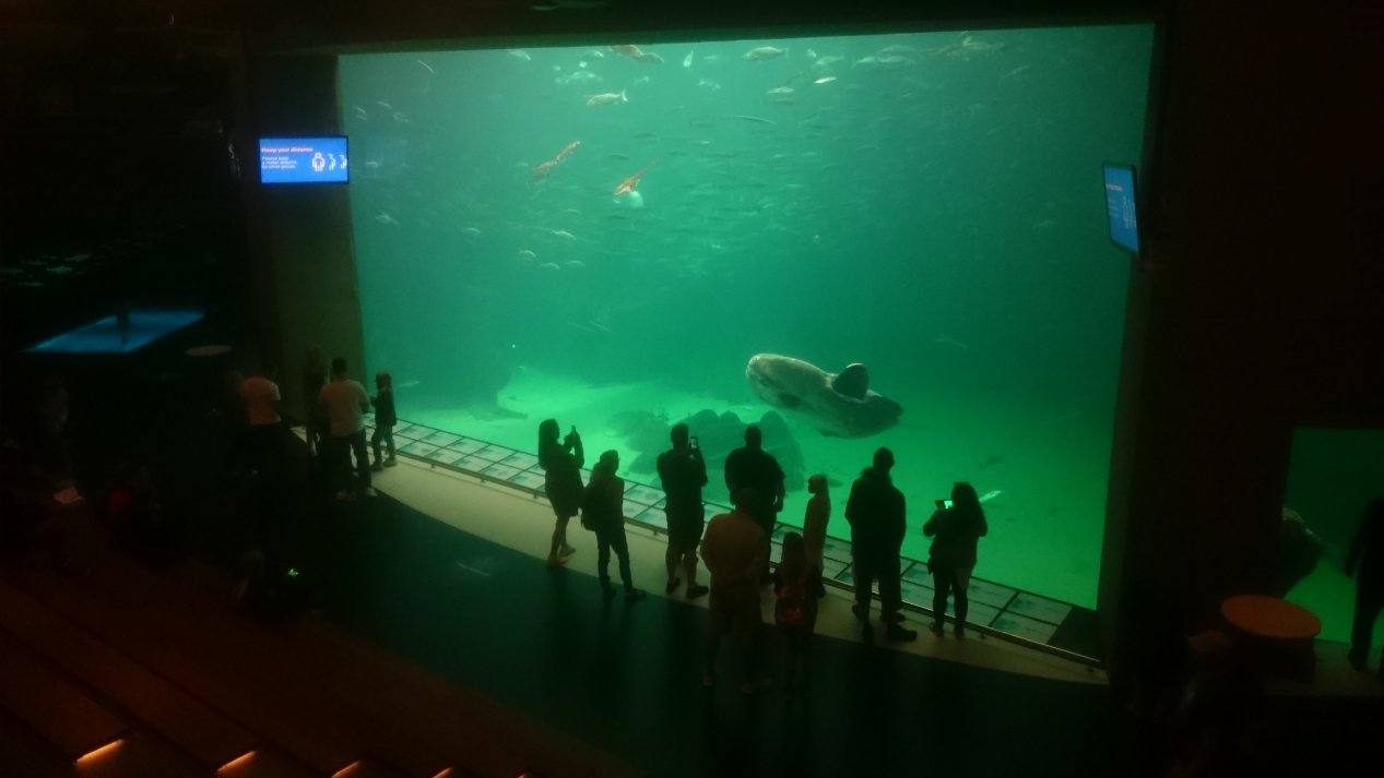 Nordsoen, Oceanarium. NordJylland, July 2020.