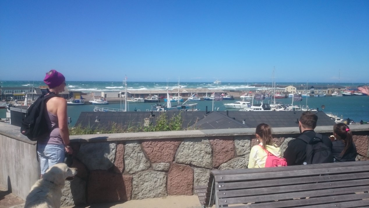 NordJylland, July 2020.
