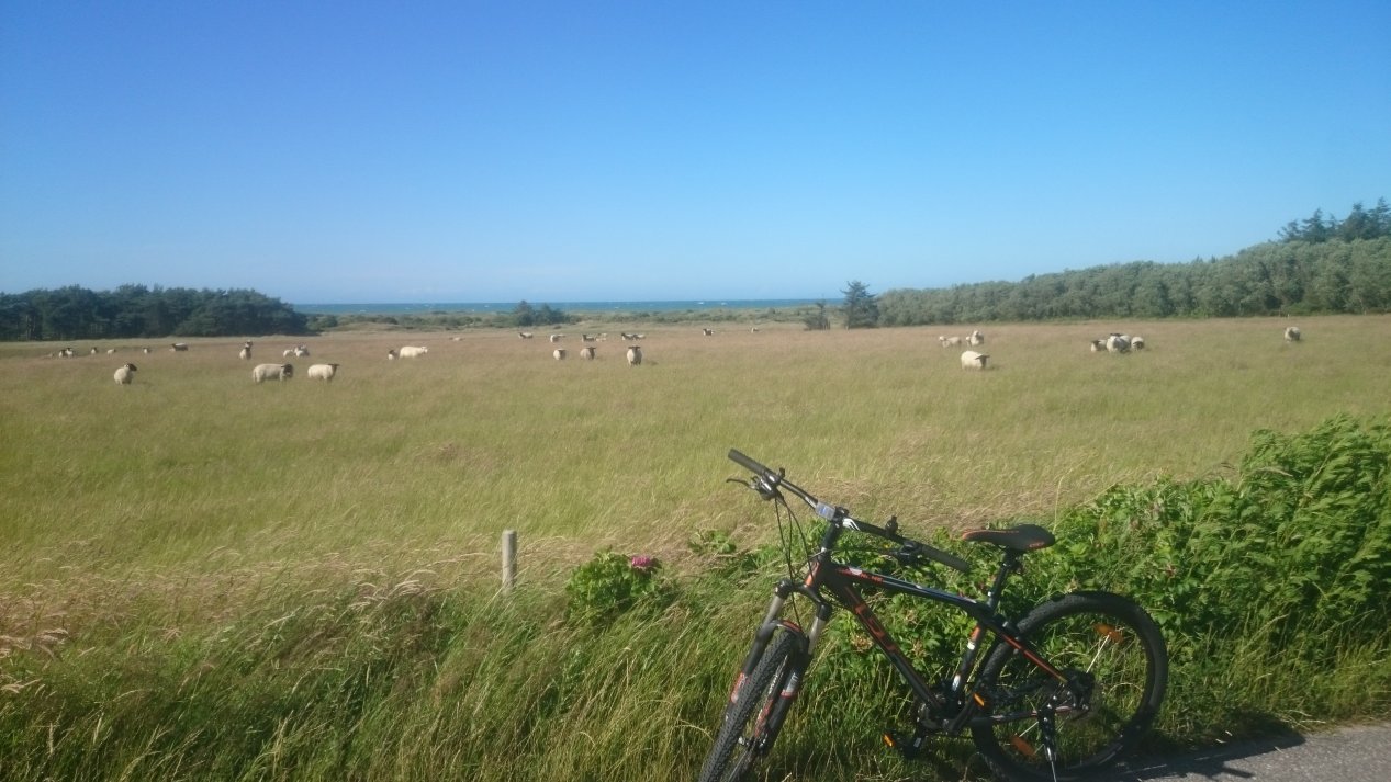 NordJylland, July 2020.