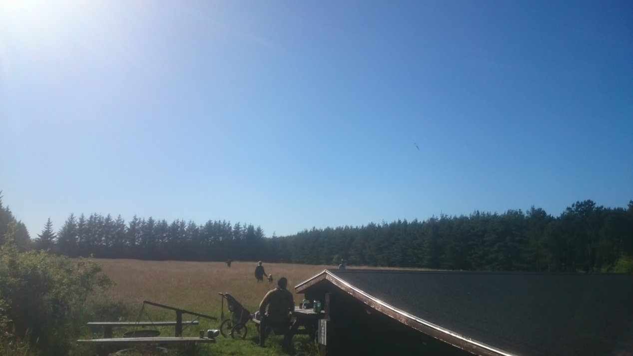 NordJylland, July 2020.
