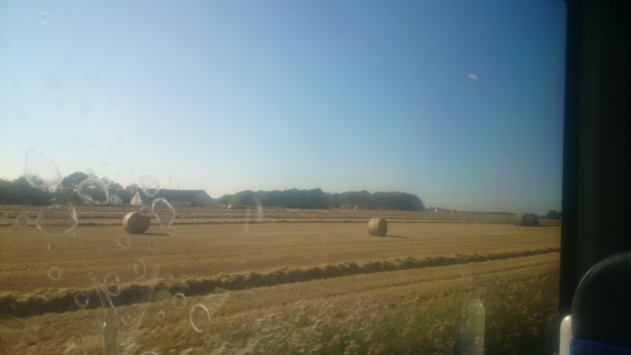 NordJylland. Summer, August 2020.
