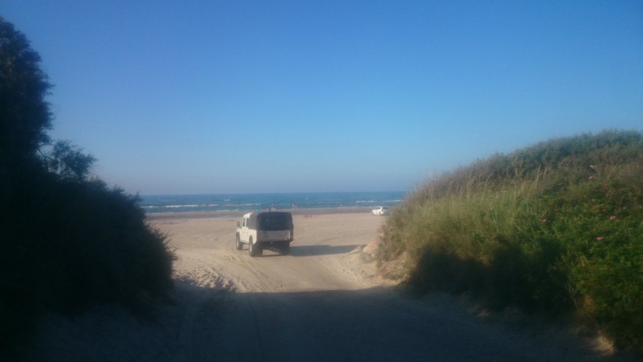 NordJylland.  Summer, August 2020.