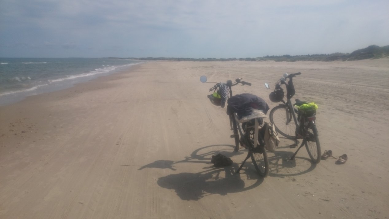 NordJylland.  Summer, August 2020.