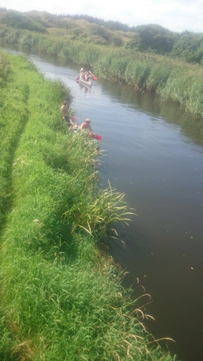 NordJylland. Summer, August 2020.
