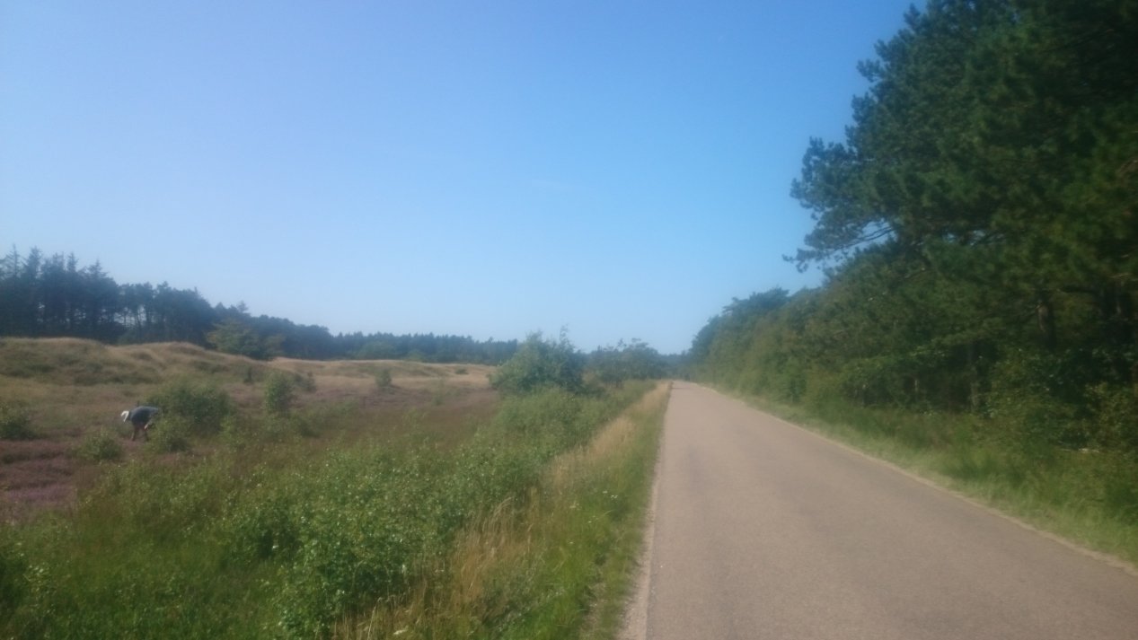 NordJylland. Summer, August 2020.
