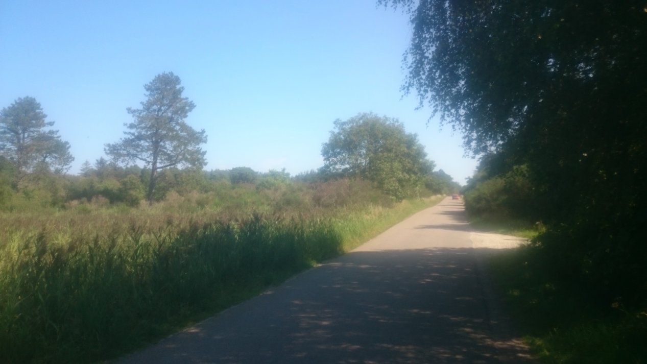 NordJylland. Summer, August 2020.