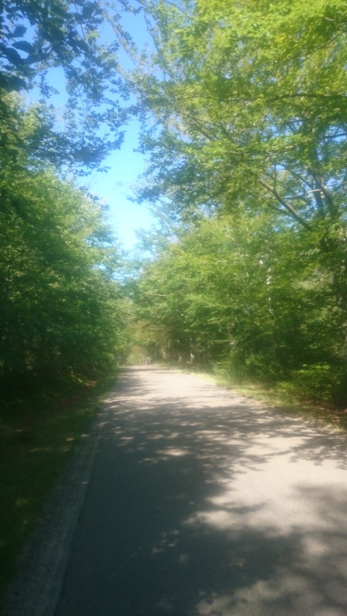 NordJylland. Summer, August 2020.