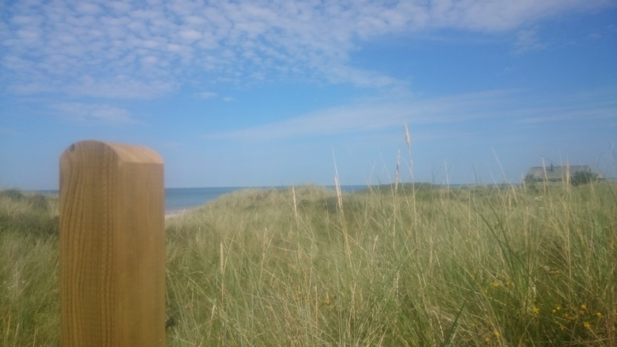 NordJylland.  Summer, August 2020.