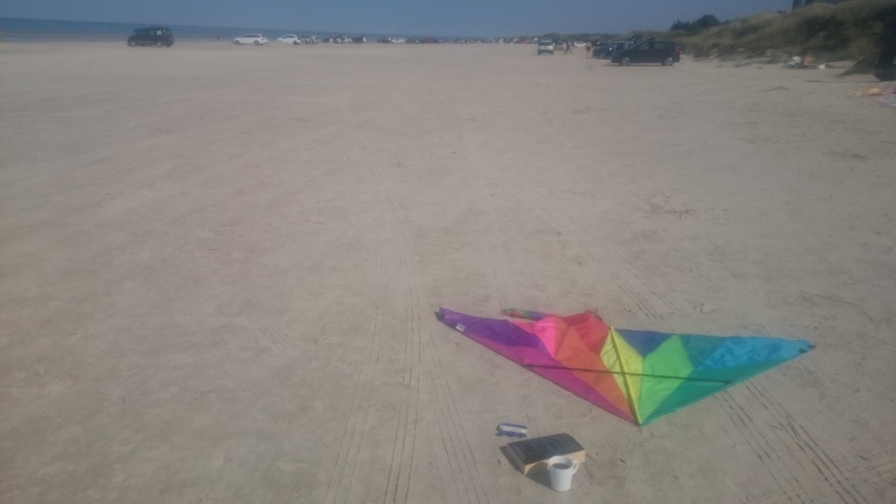 NordJylland.  Summer, August 2020.