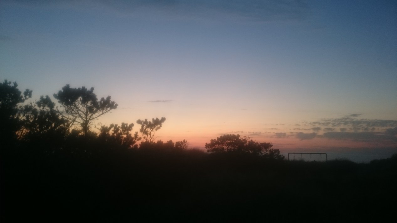 NordJylland.  Summer, August 2020.