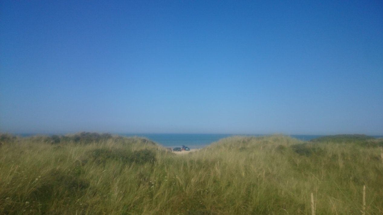 NordJylland.  Summer, August 2020.