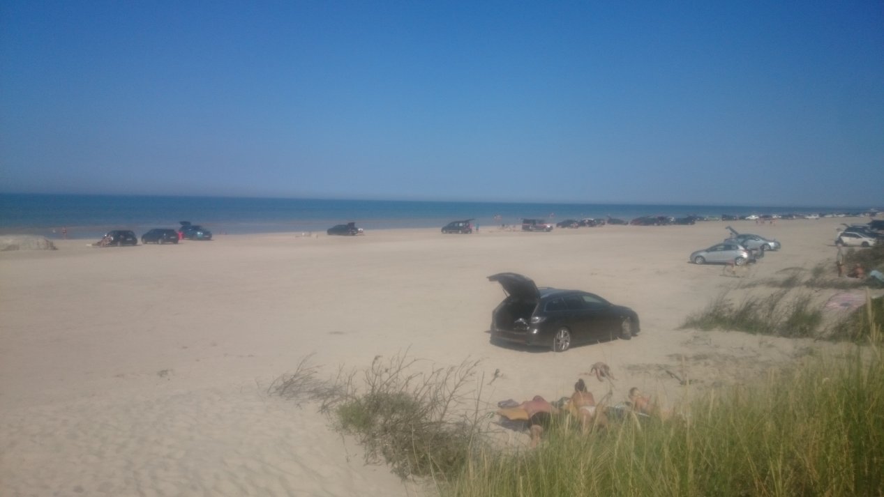 NordJylland. Summer, August 2020.