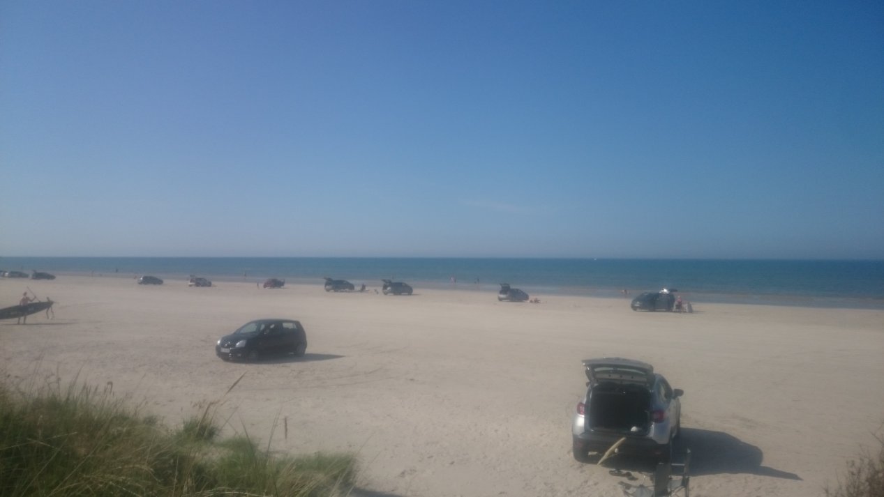 NordJylland.  Summer, August 2020.