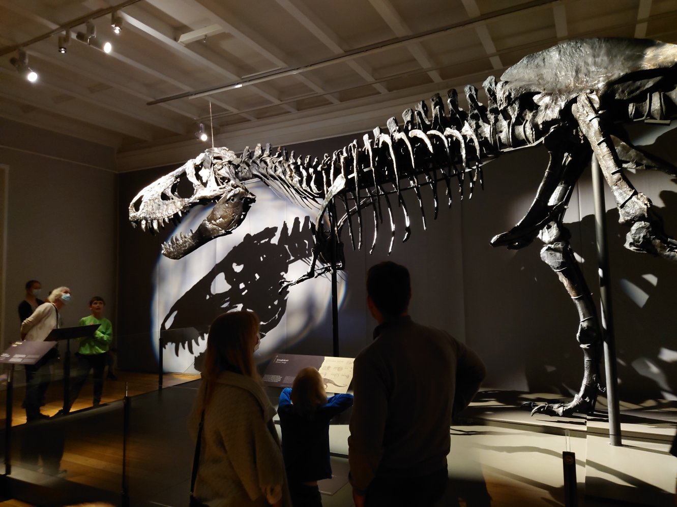 T-Rex. Statens Naturhistoriske Museum T-Rex. Statens Naturhistoriske Museum