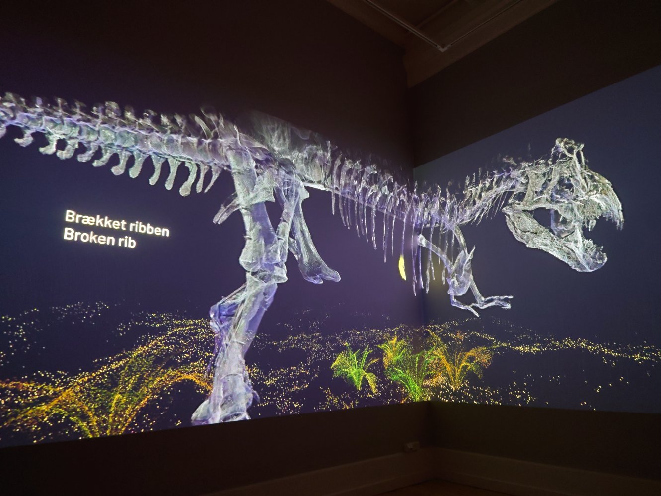 T-Rex. Statens Naturhistoriske Museum T-Rex. Statens Naturhistoriske Museum