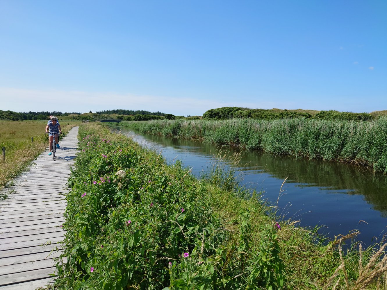 NordJylland, Danmark. NordJylland, Danmark.
