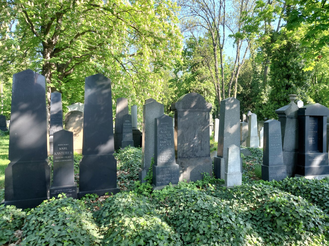 New Jewish Cemetery. Prague. April, 2025.