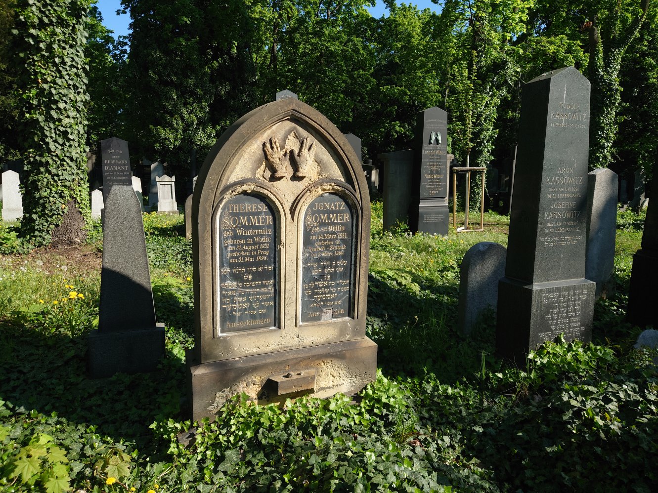 New Jewish Cemetery. Prague. April, 2025.