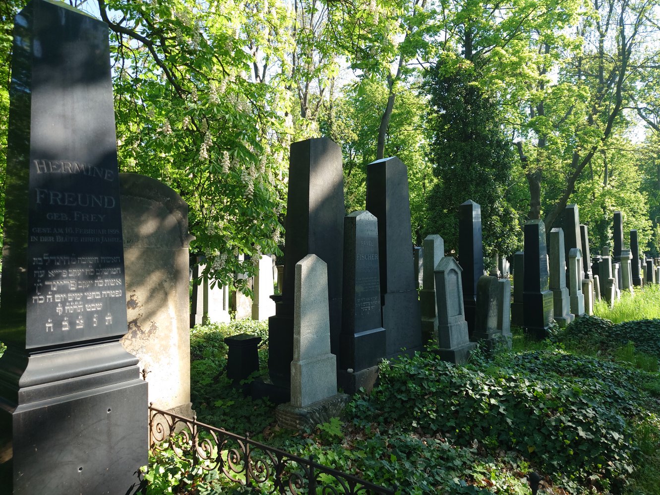 New Jewish Cemetery. Prague. April, 2025.