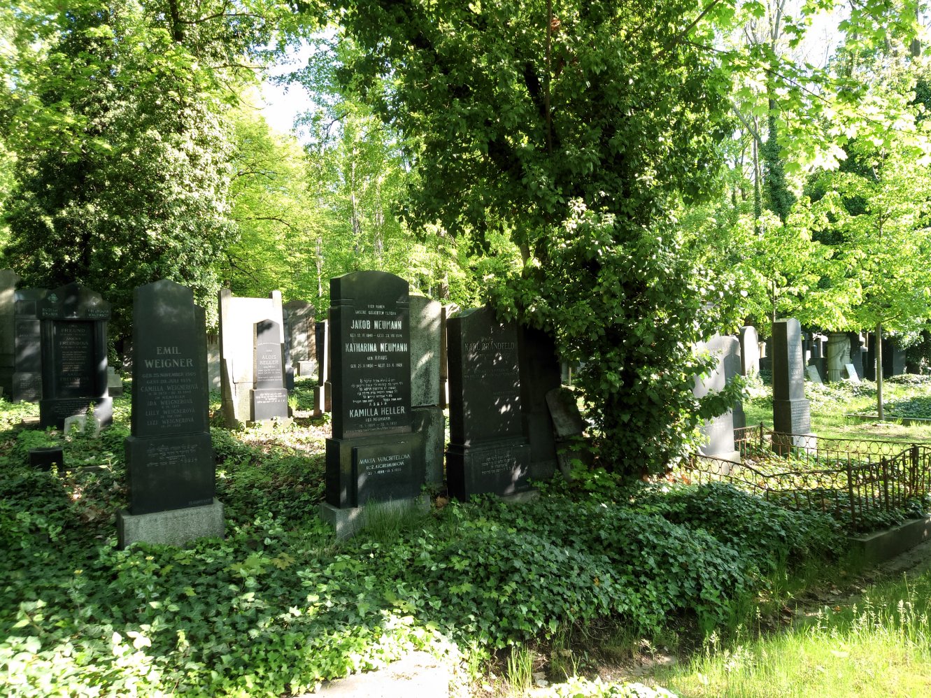 New Jewish Cemetery. Prague. April, 2025.