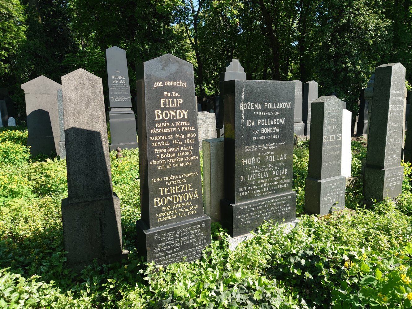 New Jewish Cemetery. Prague. April, 2025.