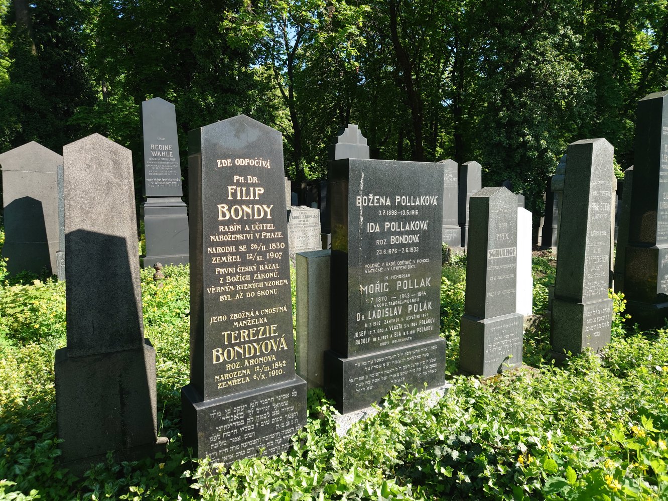 New Jewish Cemetery. Prague. April, 2025.