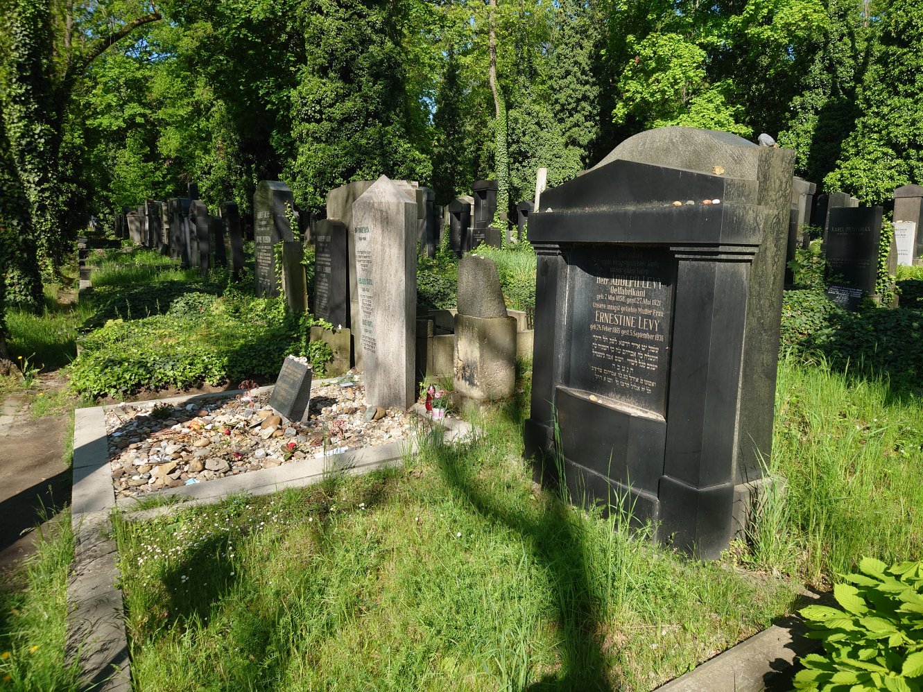 New Jewish Cemetery. Prague. April, 2025.