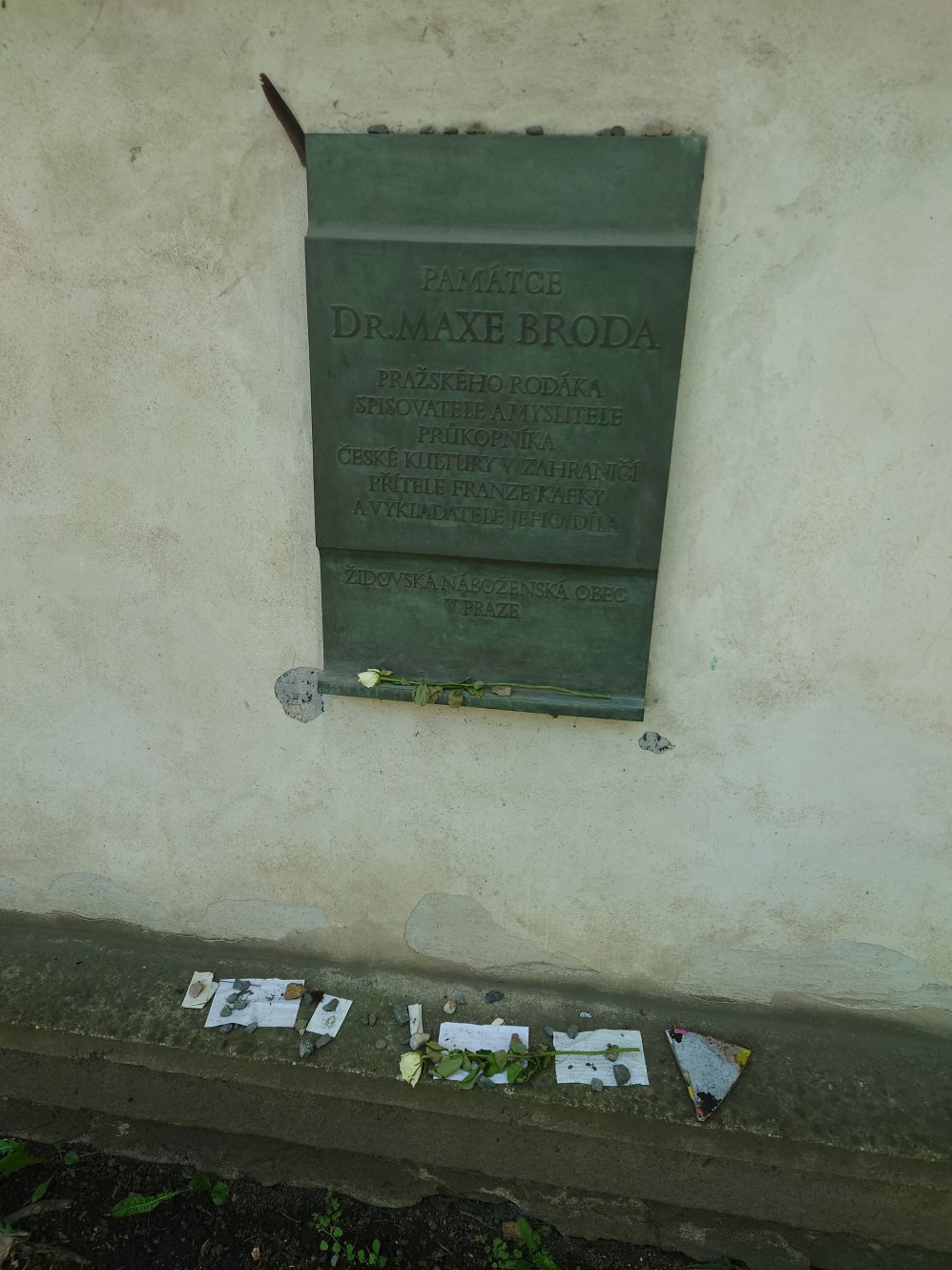 New Jewish Cemetery. Prague. April, 2025.
