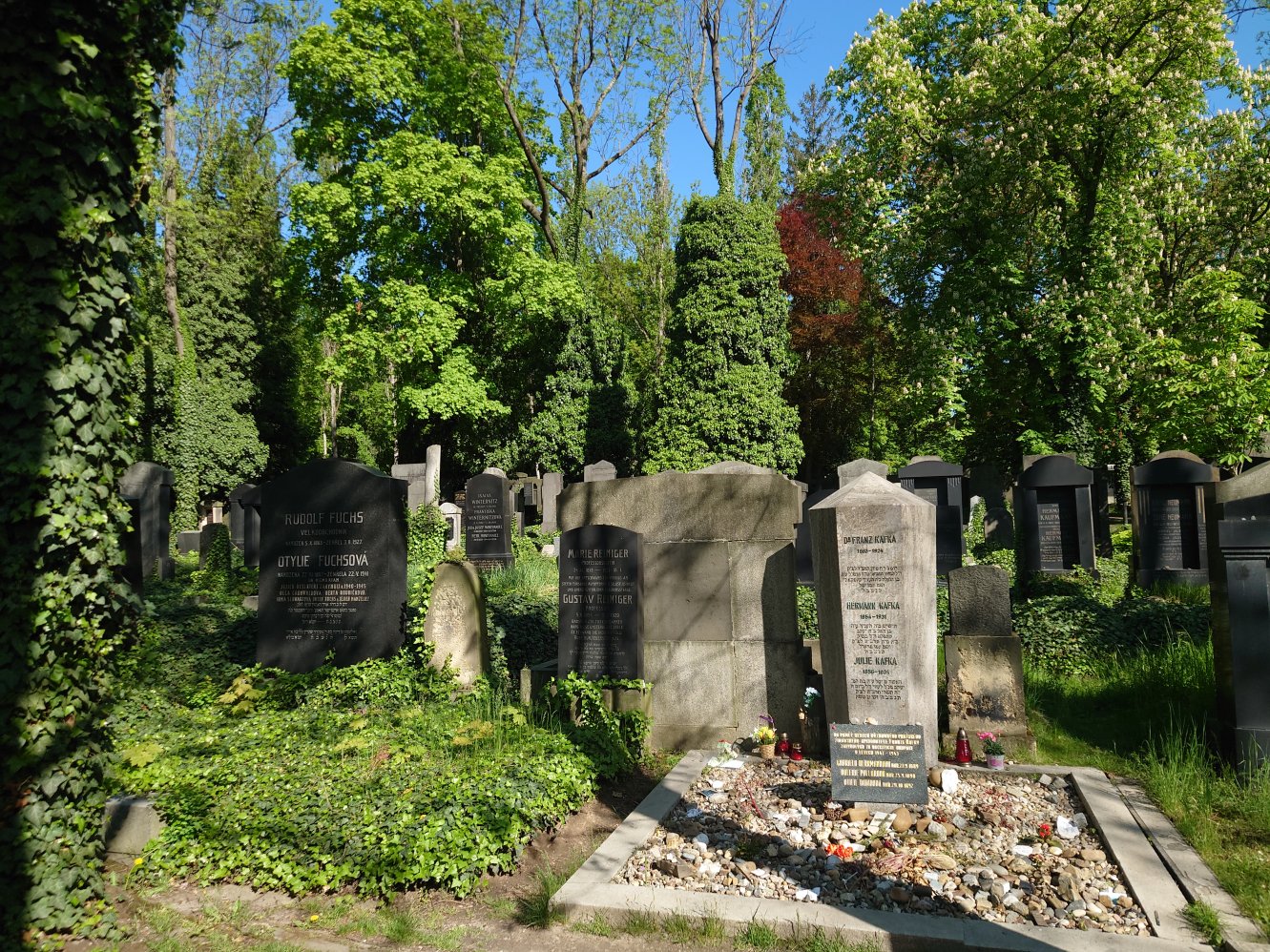 New Jewish Cemetery. Prague. April, 2025.