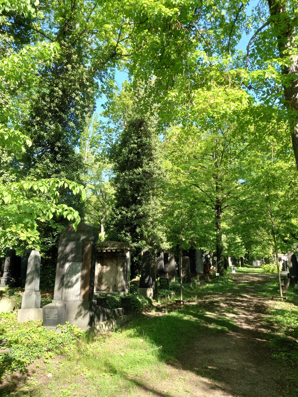New Jewish Cemetery. Prague. April, 2025.