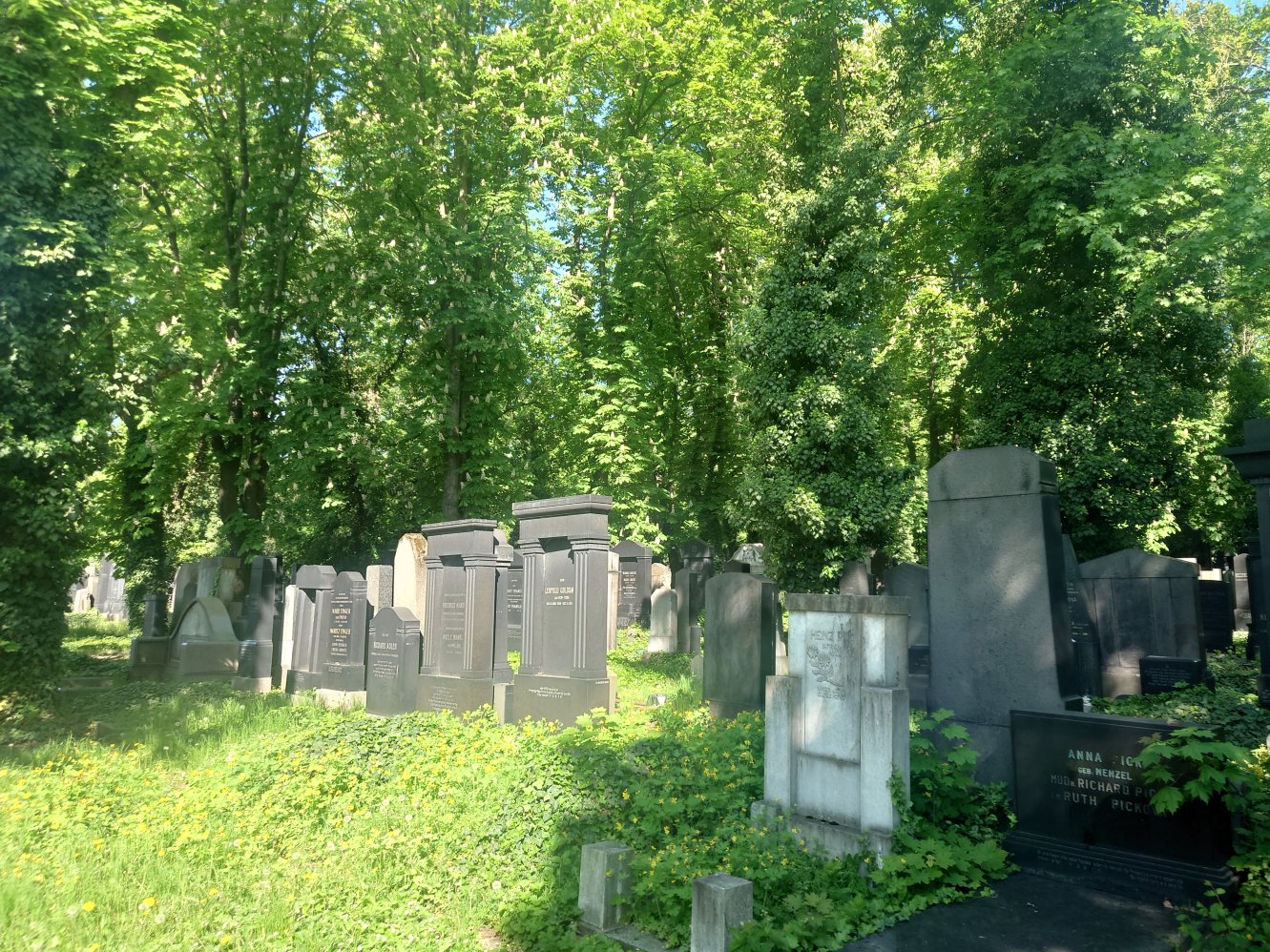 New Jewish Cemetery. Prague. April, 2025.