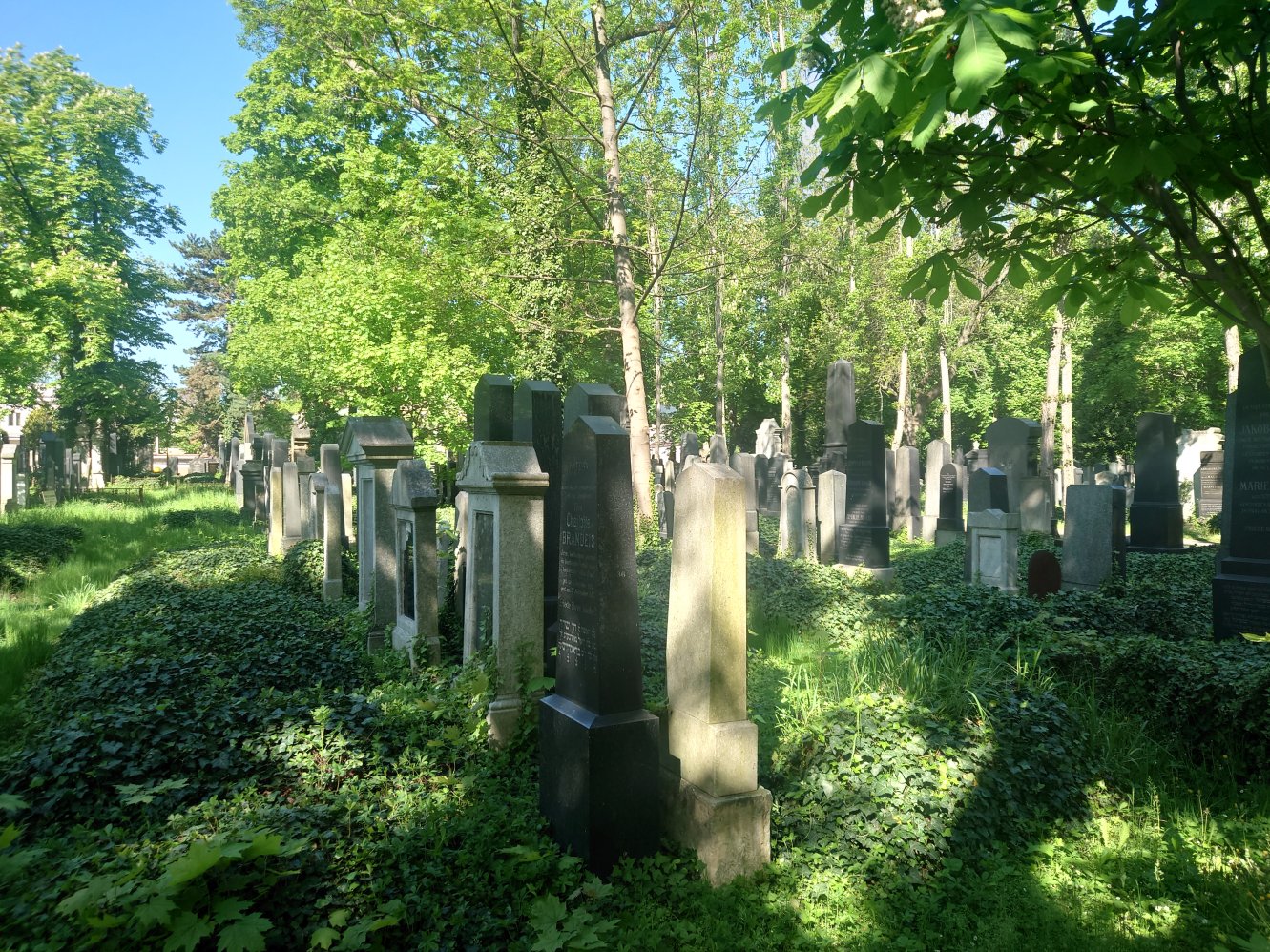 New Jewish Cemetery. Prague. April, 2025.