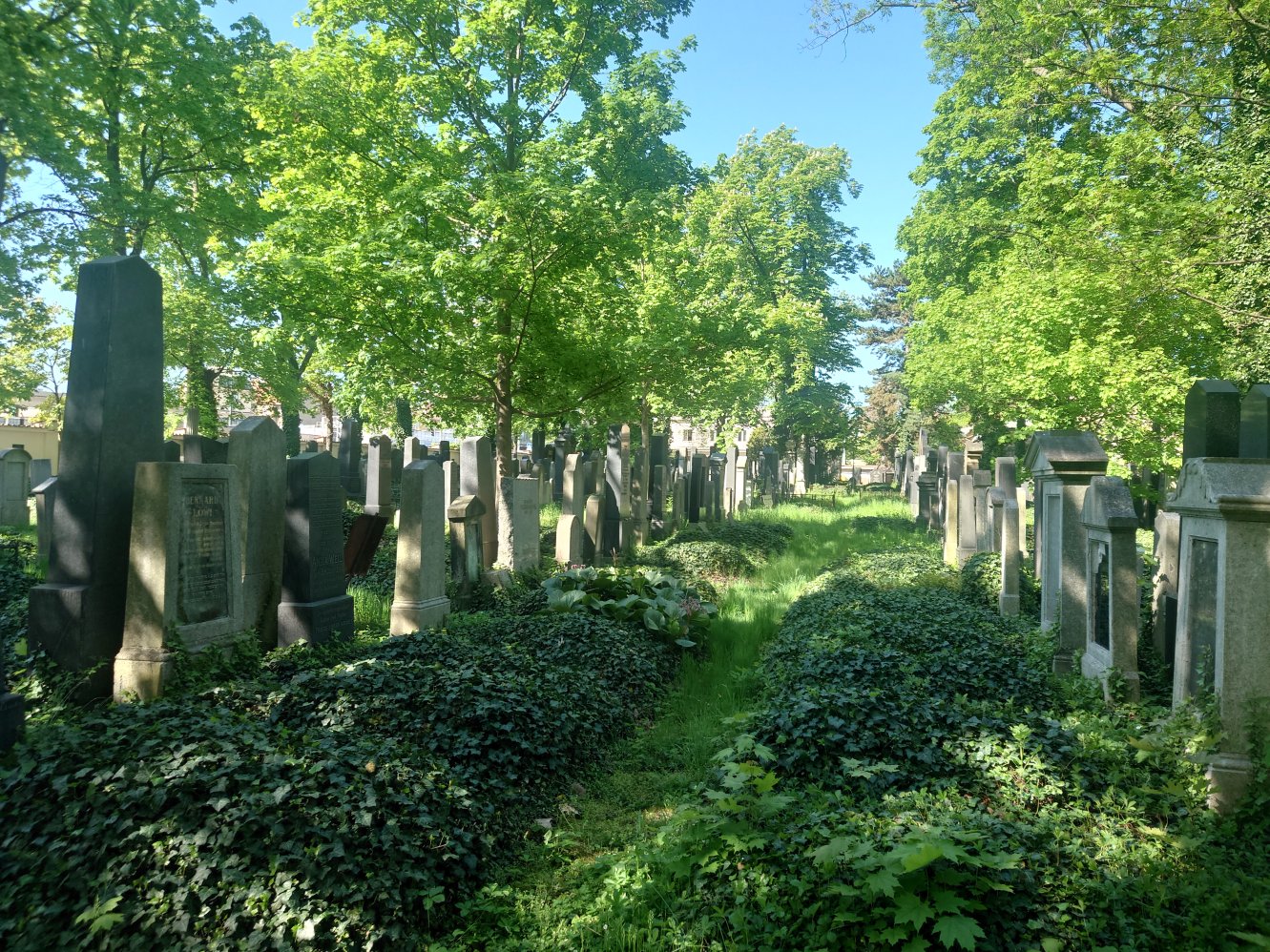 New Jewish Cemetery. Prague. April, 2025.
