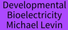 See here, for more about developmental bioelectricity - Michael Levin.