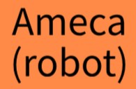 Meeting Ameca. August 2024.