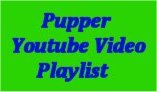 Pupper in action. Video playlist.