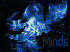 Mind Design